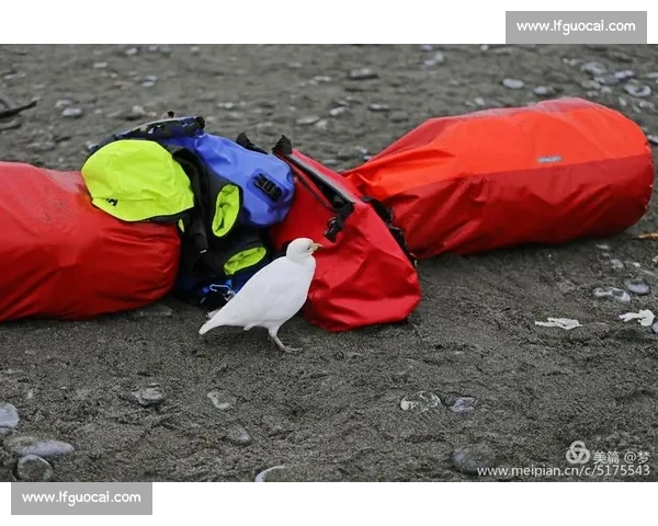 背起百岁奶奶看球赛：116 岁库尔班罕的足球圆梦之旅